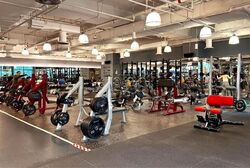 Novena Square (D11), Retail #619965861